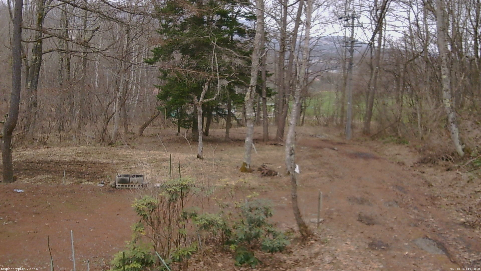 長野県菅平高原 ゆたか山荘 坂上 2026/04/04 13:45