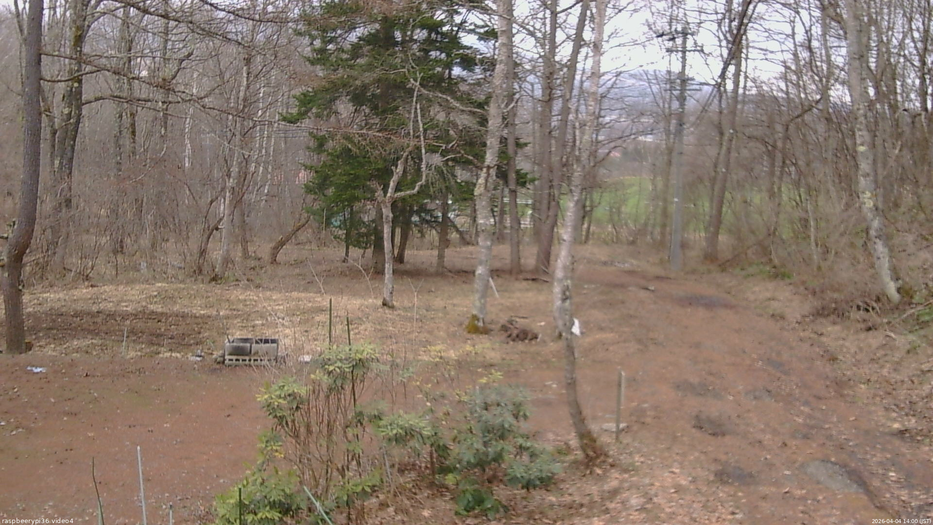 長野県菅平高原 ゆたか山荘 坂上 2026/04/04 14:00