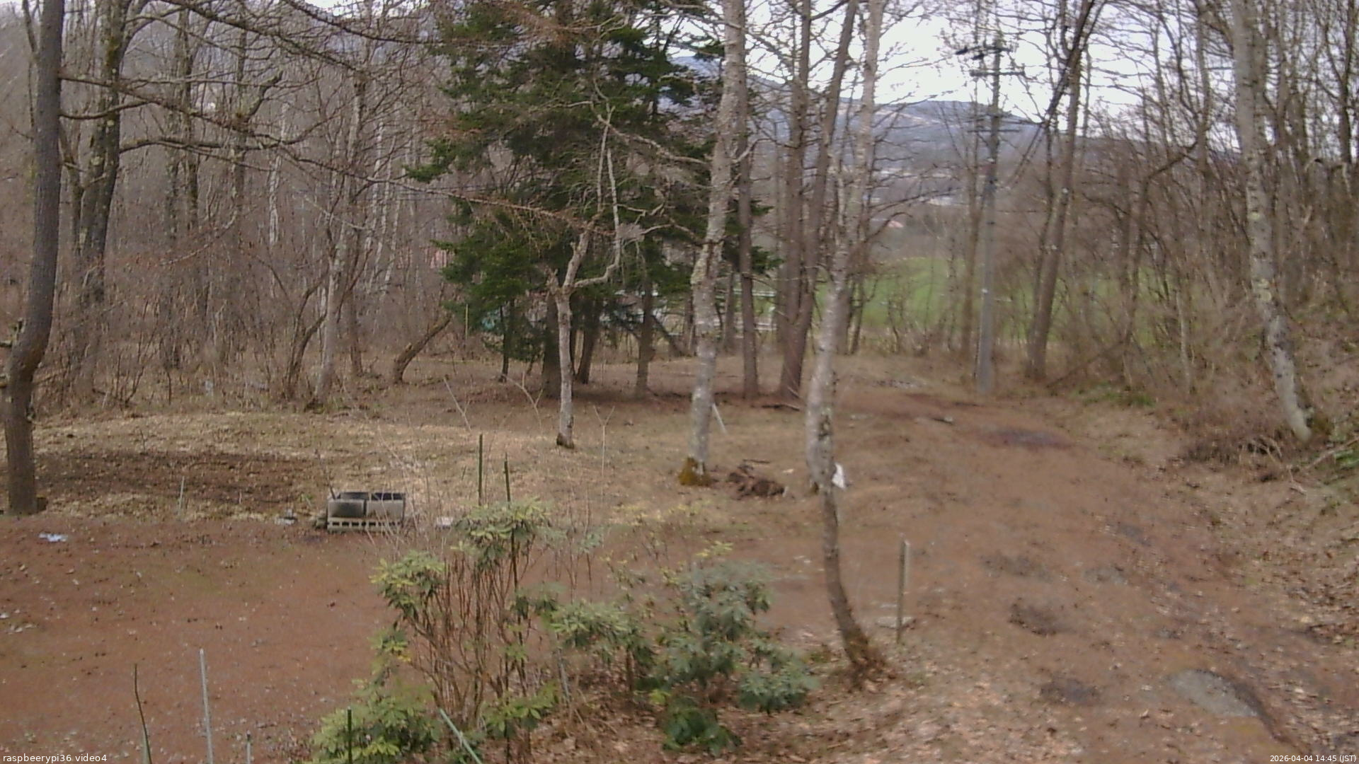 長野県菅平高原 ゆたか山荘 坂上 2026/04/04 14:45