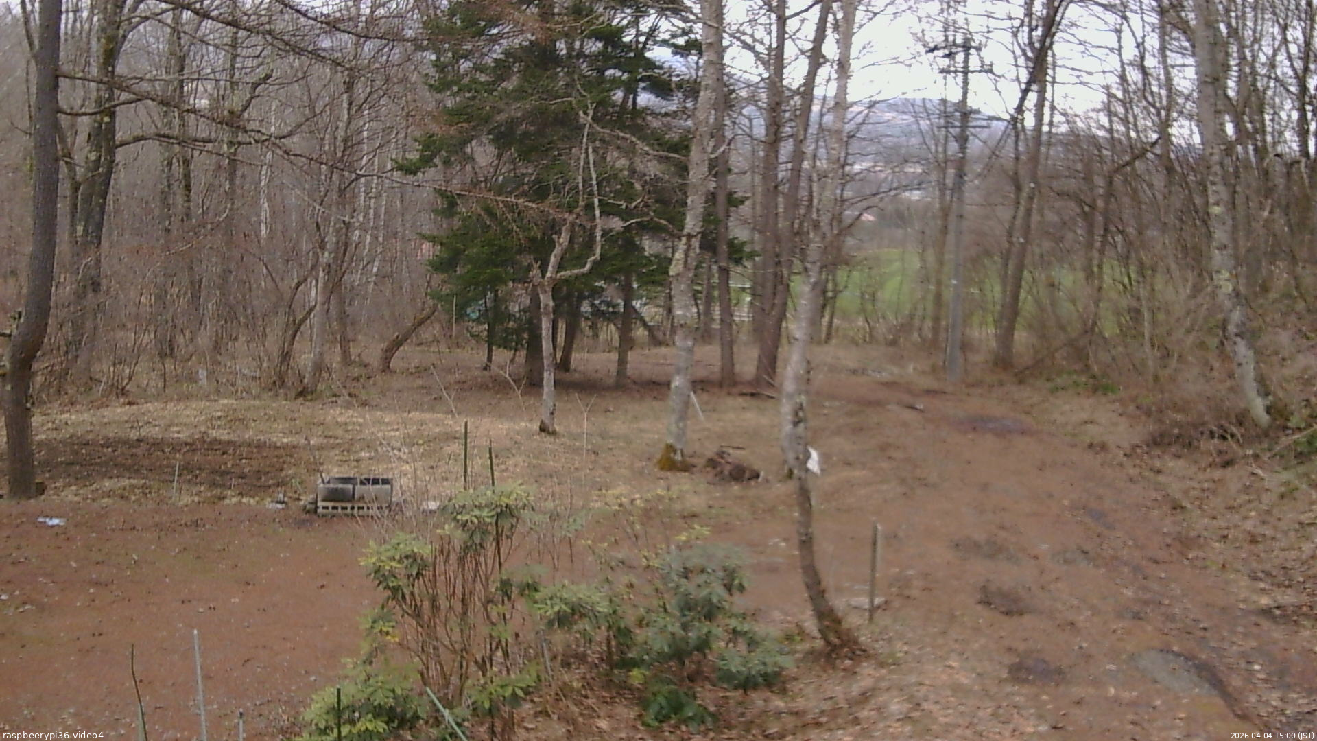 長野県菅平高原 ゆたか山荘 坂上 2026/04/04 15:00