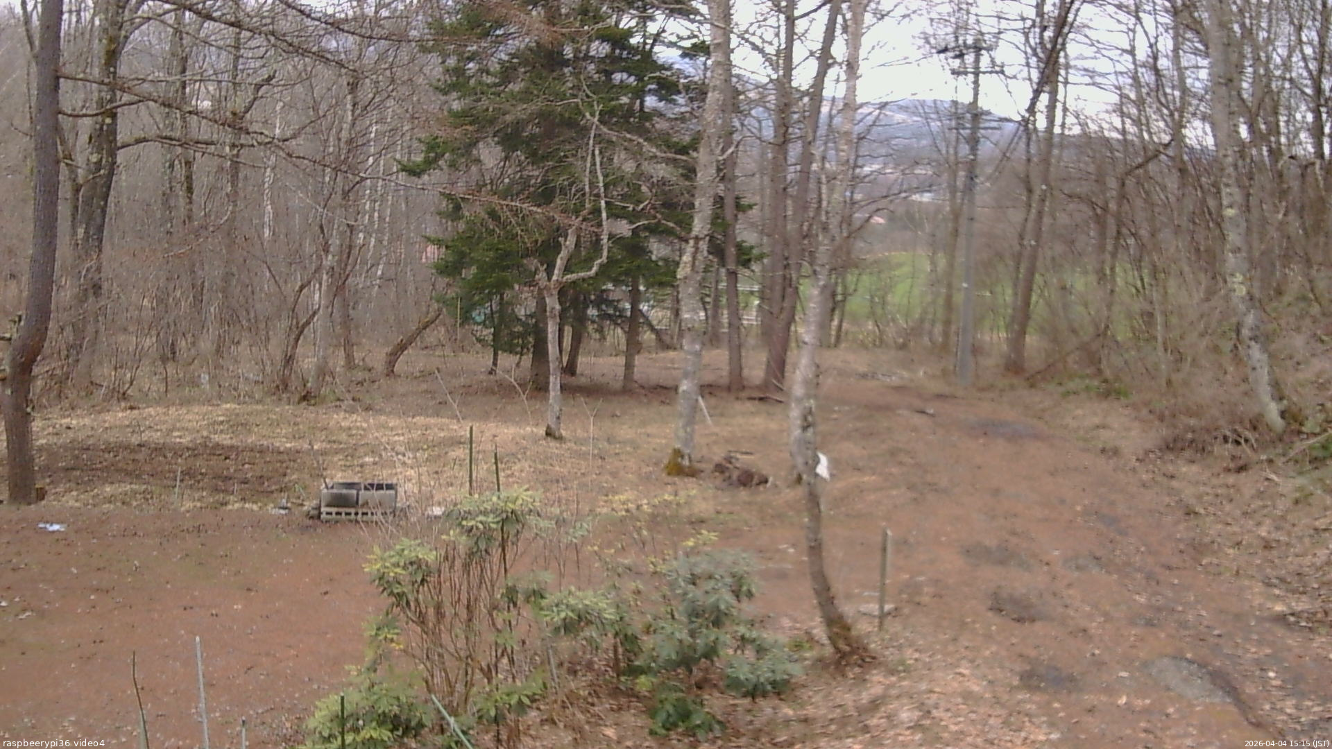 長野県菅平高原 ゆたか山荘 坂上 2026/04/04 15:15
