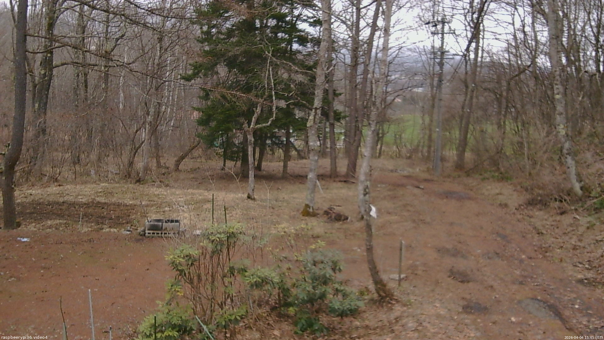 長野県菅平高原 ゆたか山荘 坂上 2026/04/04 15:45