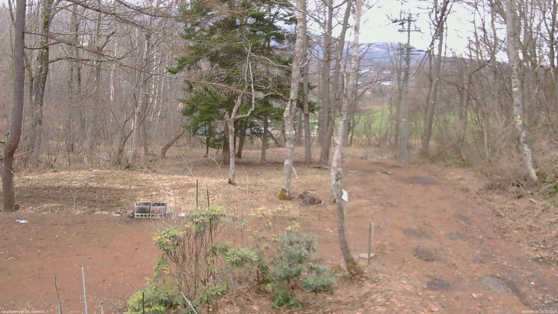 長野県菅平高原 ゆたか山荘 坂上 2026/04/04 16:00
