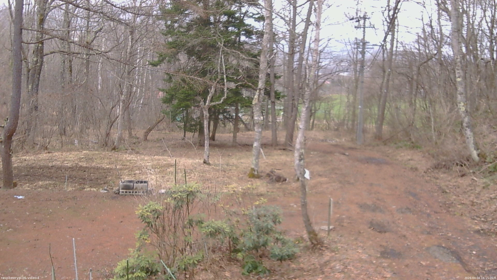 長野県菅平高原 ゆたか山荘 坂上 2026/04/04 16:15