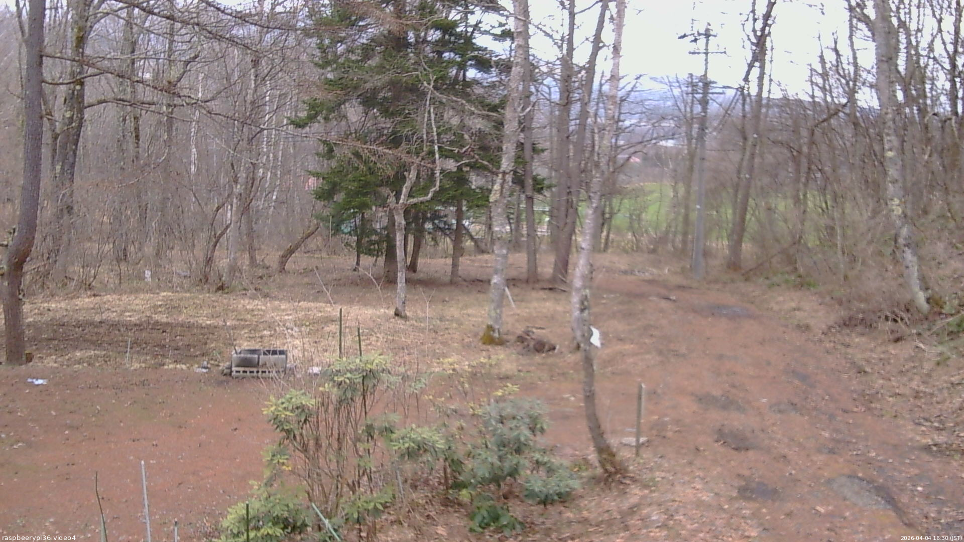 長野県菅平高原 ゆたか山荘 坂上 2026/04/04 16:30