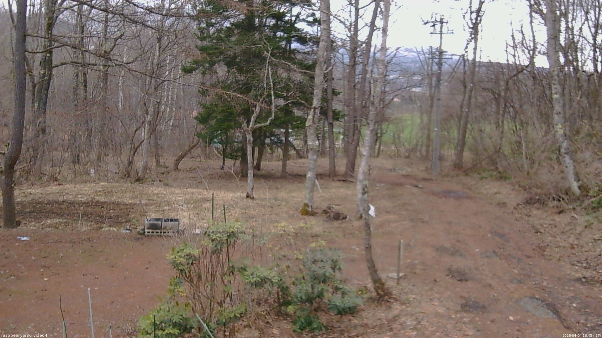 長野県菅平高原 ゆたか山荘 坂上 2026/04/04 16:45