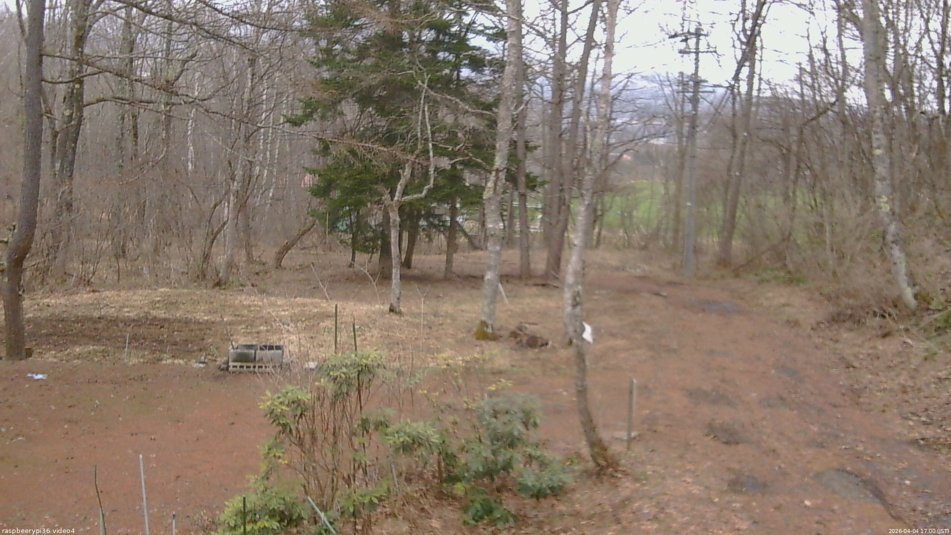 長野県菅平高原 ゆたか山荘 坂上 2026/04/04 17:00