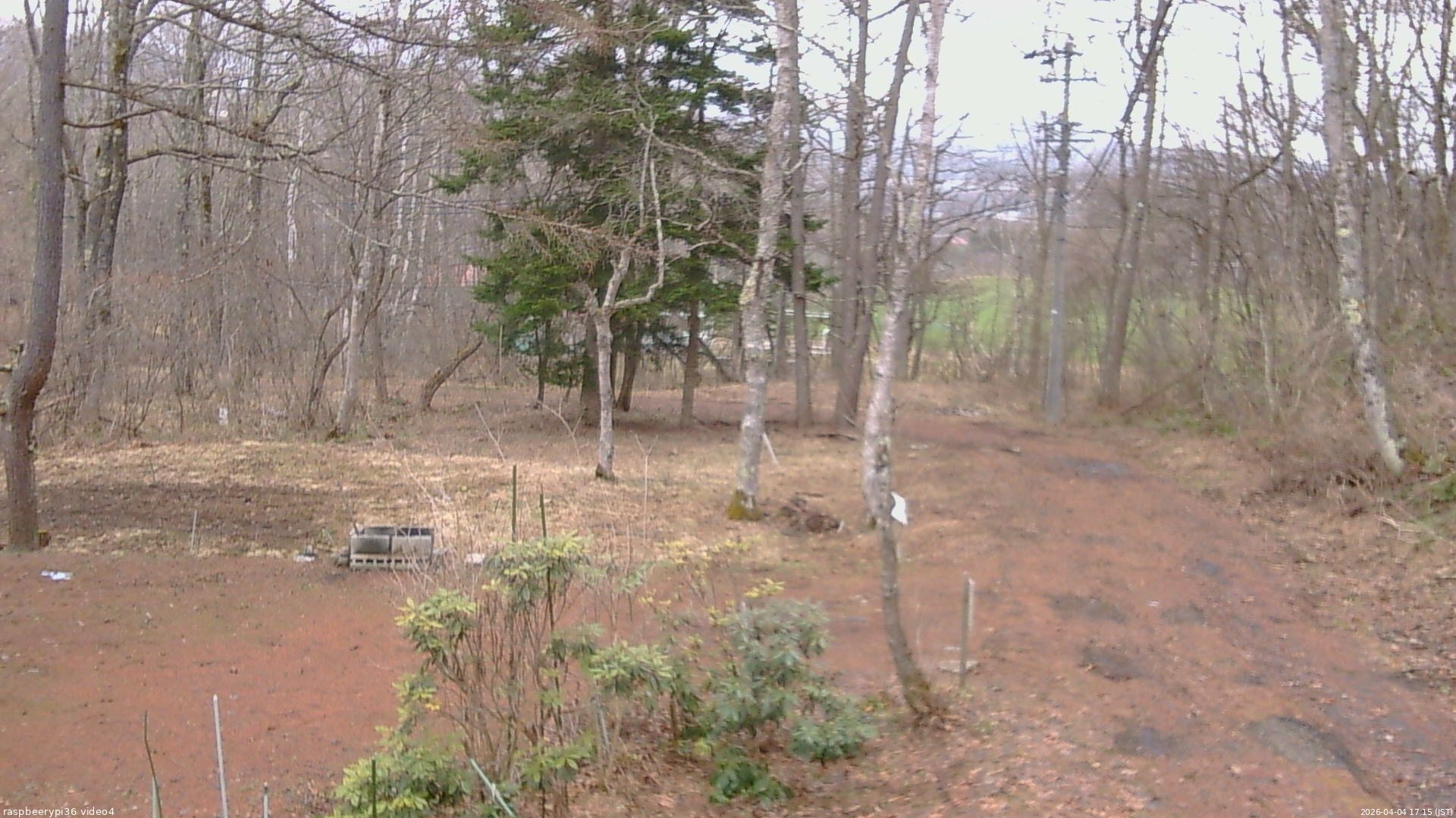 長野県菅平高原 ゆたか山荘 坂上 2026/04/04 17:15