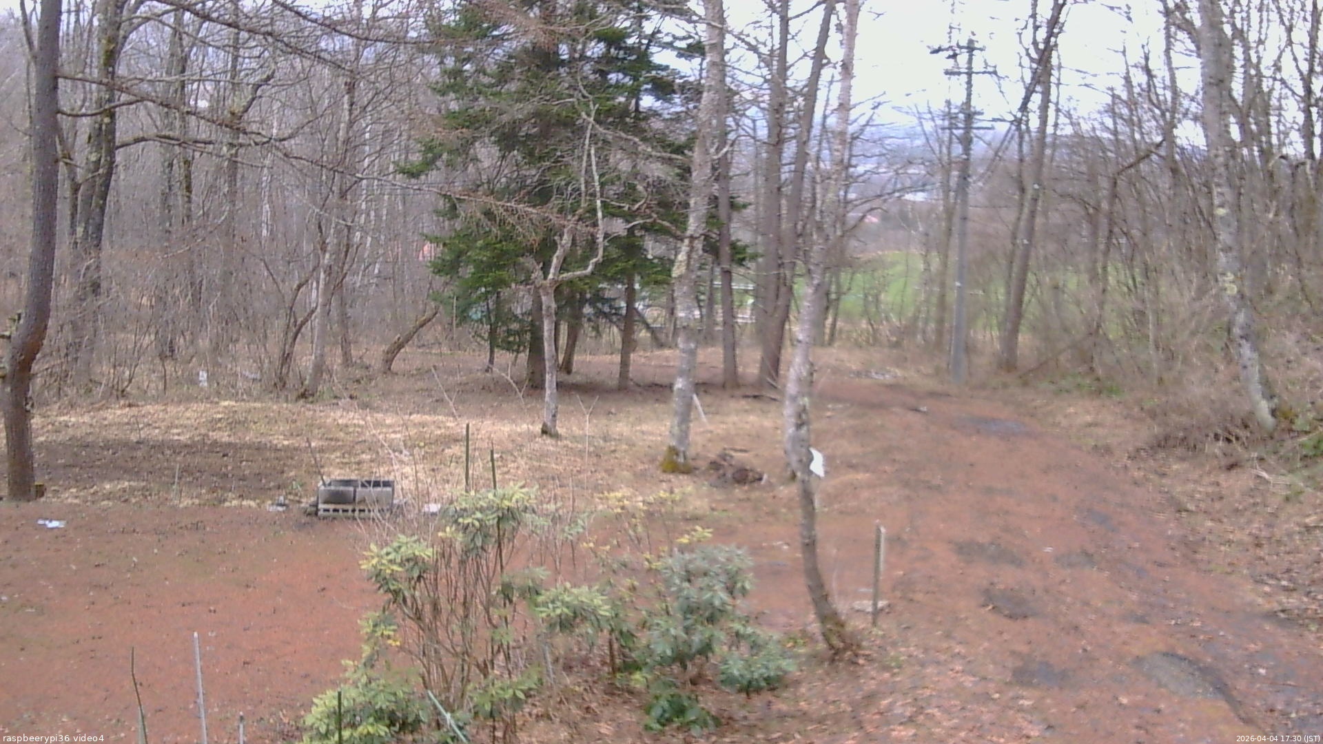 長野県菅平高原 ゆたか山荘 坂上 2026/04/04 17:30