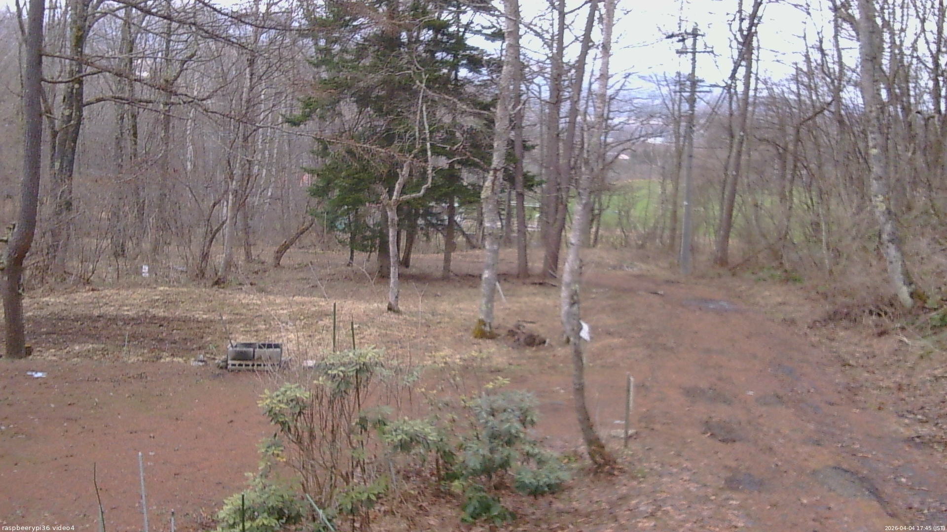 長野県菅平高原 ゆたか山荘 坂上 2026/04/04 17:45