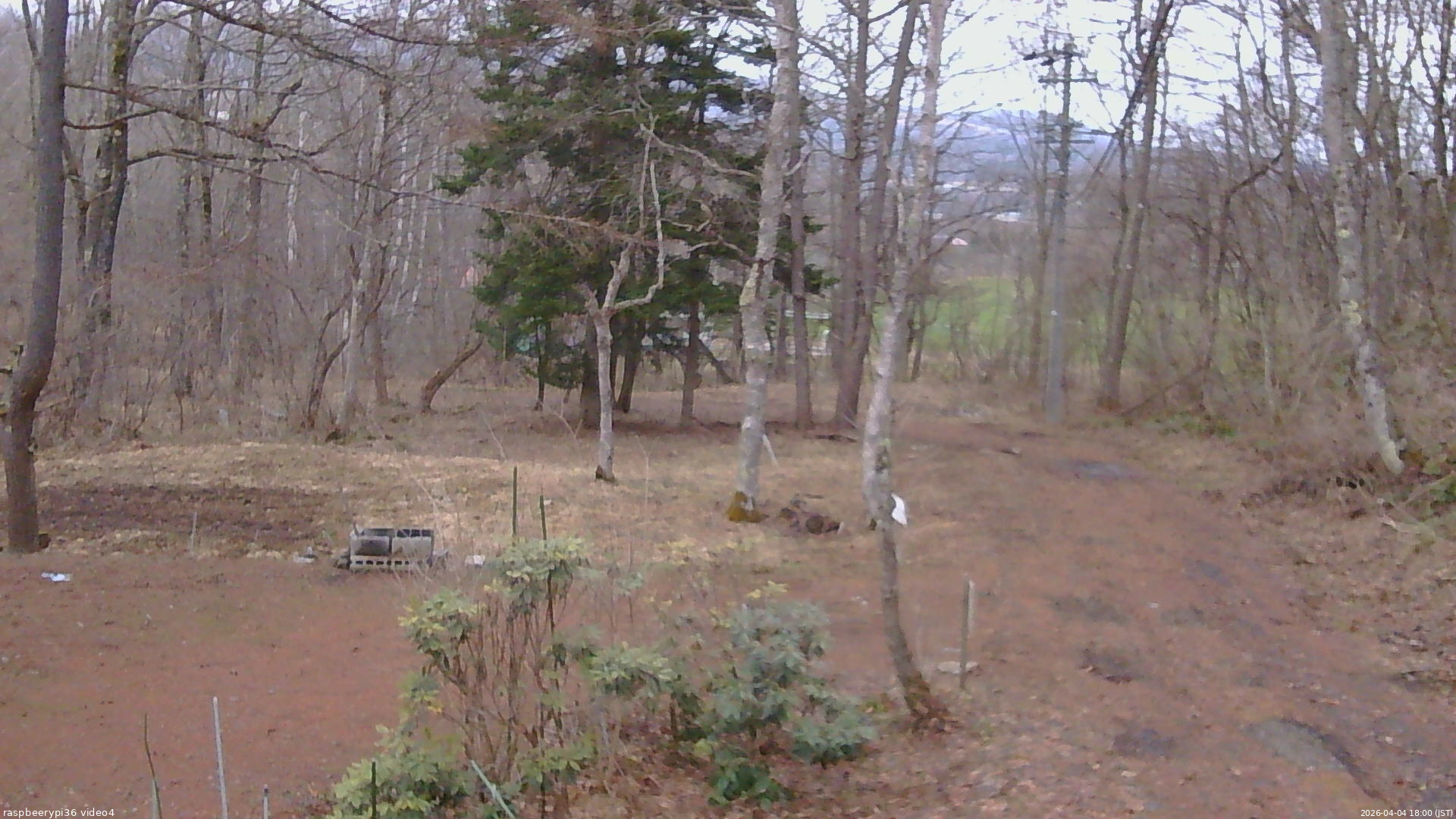長野県菅平高原 ゆたか山荘 坂上 2026/04/04 18:00
