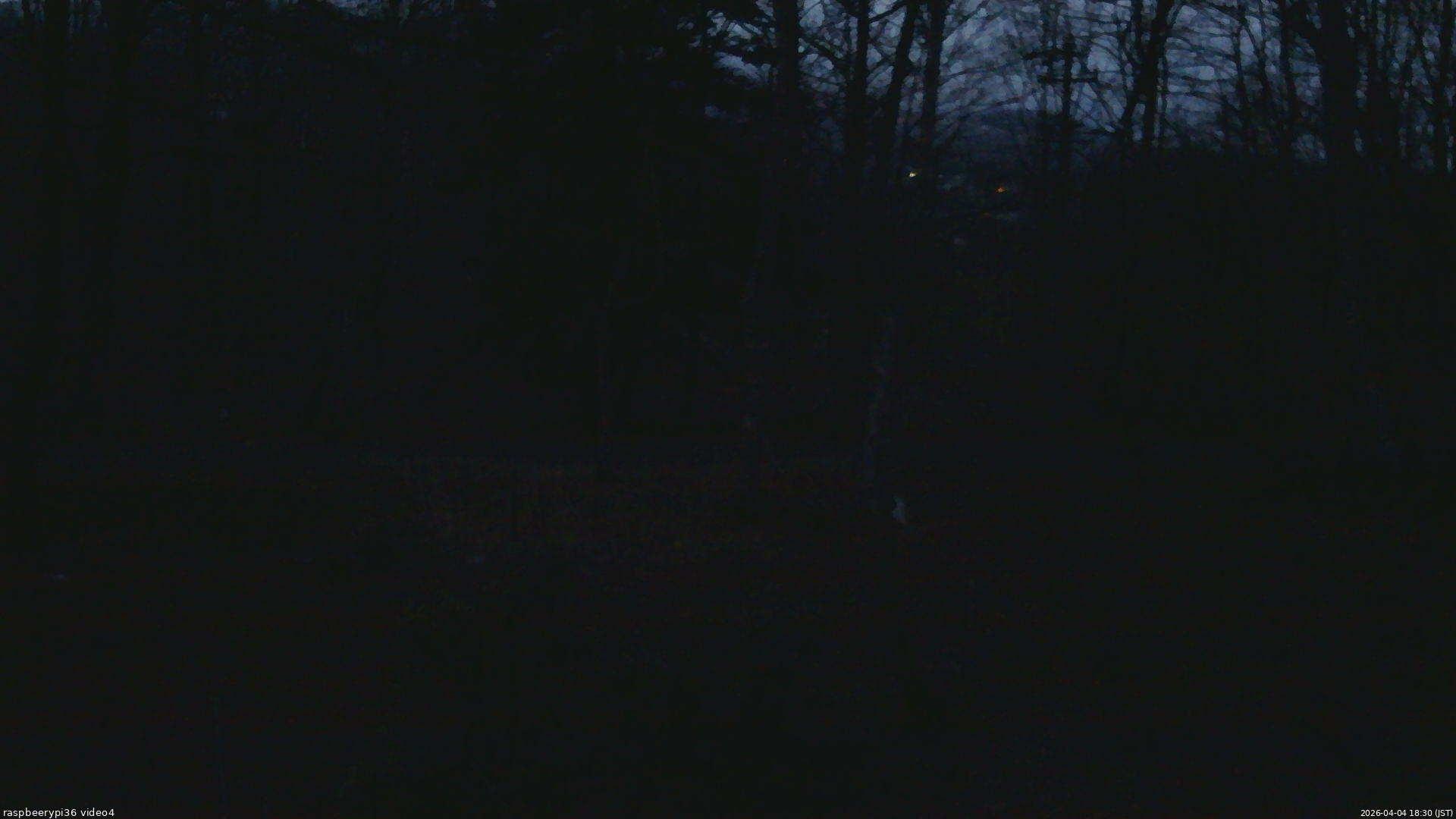 長野県菅平高原 ゆたか山荘 坂上 2026/04/04 18:30