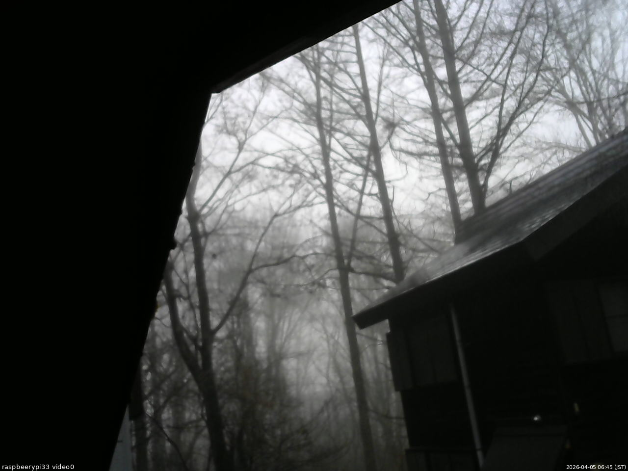 長野県菅平高原 ゆたか山荘 北側 2026/04/05 06:45