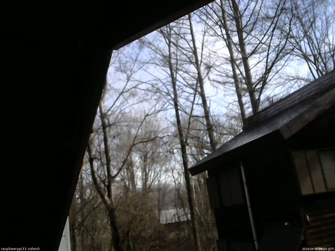 長野県菅平高原 ゆたか山荘 北側 2026/04/05 08:00