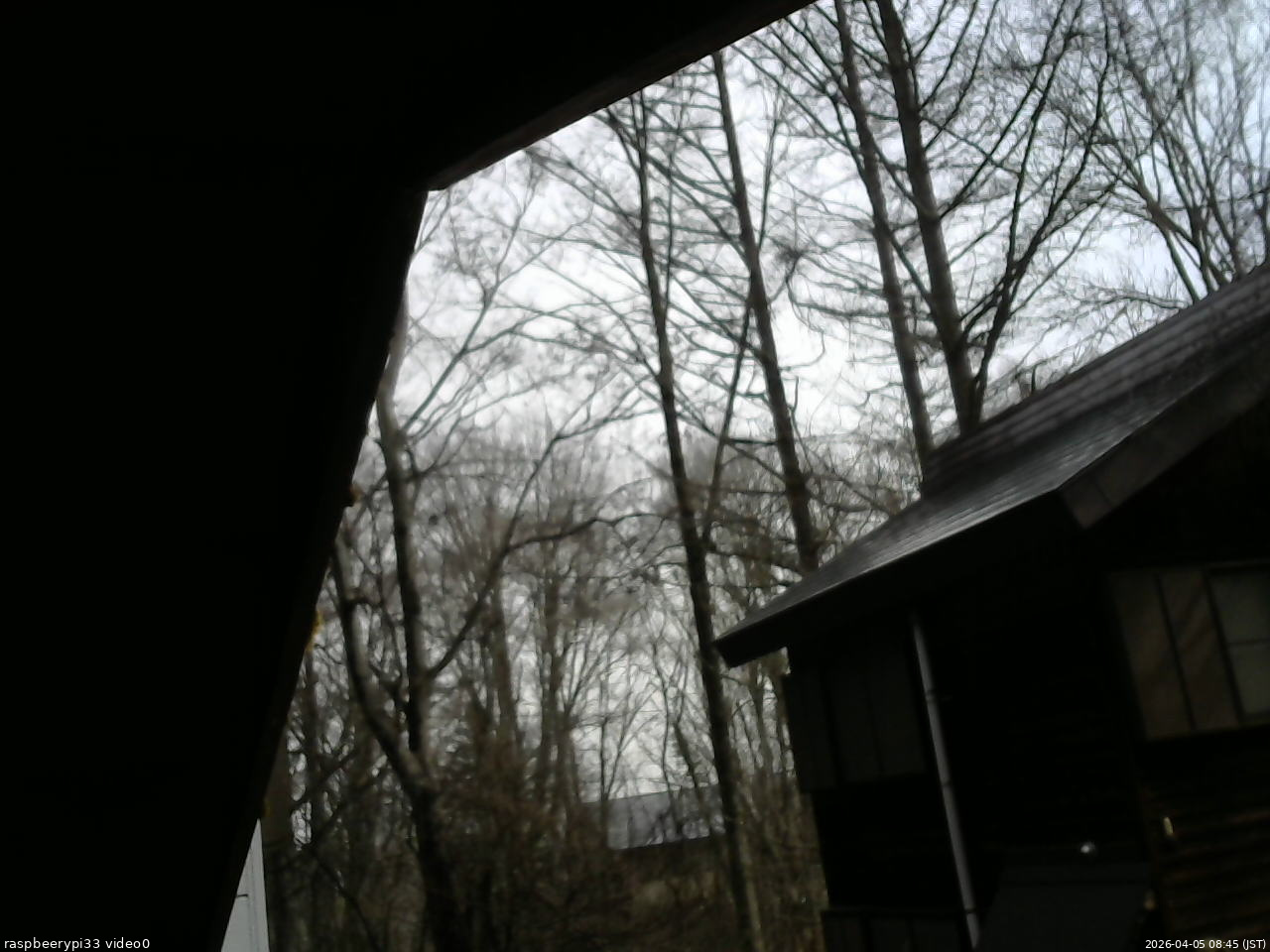 長野県菅平高原 ゆたか山荘 北側 2026/04/05 08:45