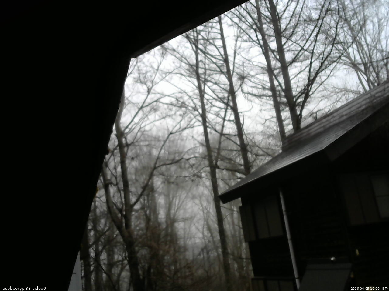 長野県菅平高原 ゆたか山荘 北側 2026/04/05 10:00