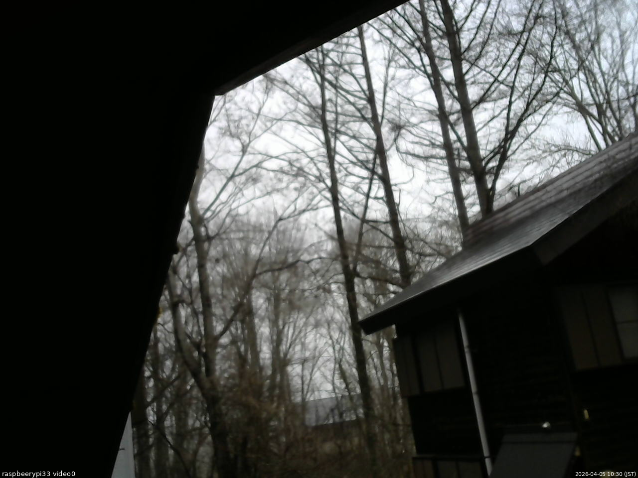 長野県菅平高原 ゆたか山荘 北側 2026/04/05 10:30