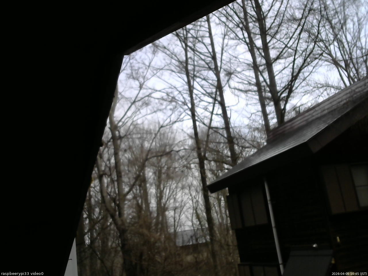 長野県菅平高原 ゆたか山荘 北側 2026/04/05 10:45