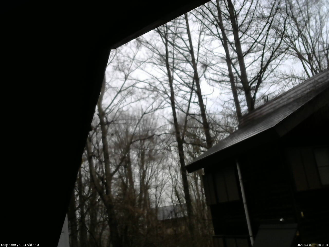 長野県菅平高原 ゆたか山荘 北側 2026/04/05 11:30