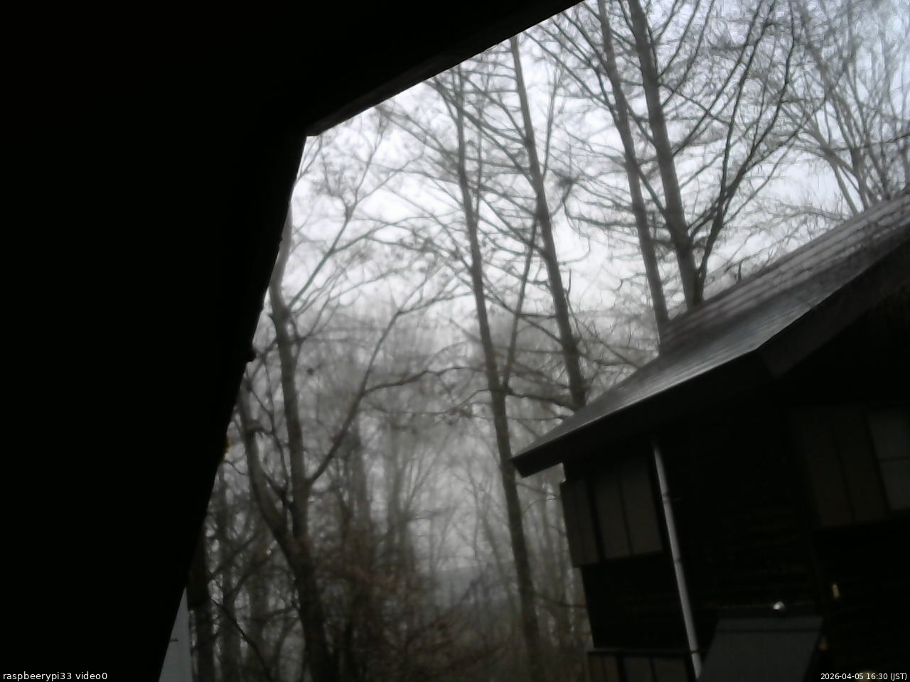 長野県菅平高原 ゆたか山荘 北側 2026/04/05 16:30