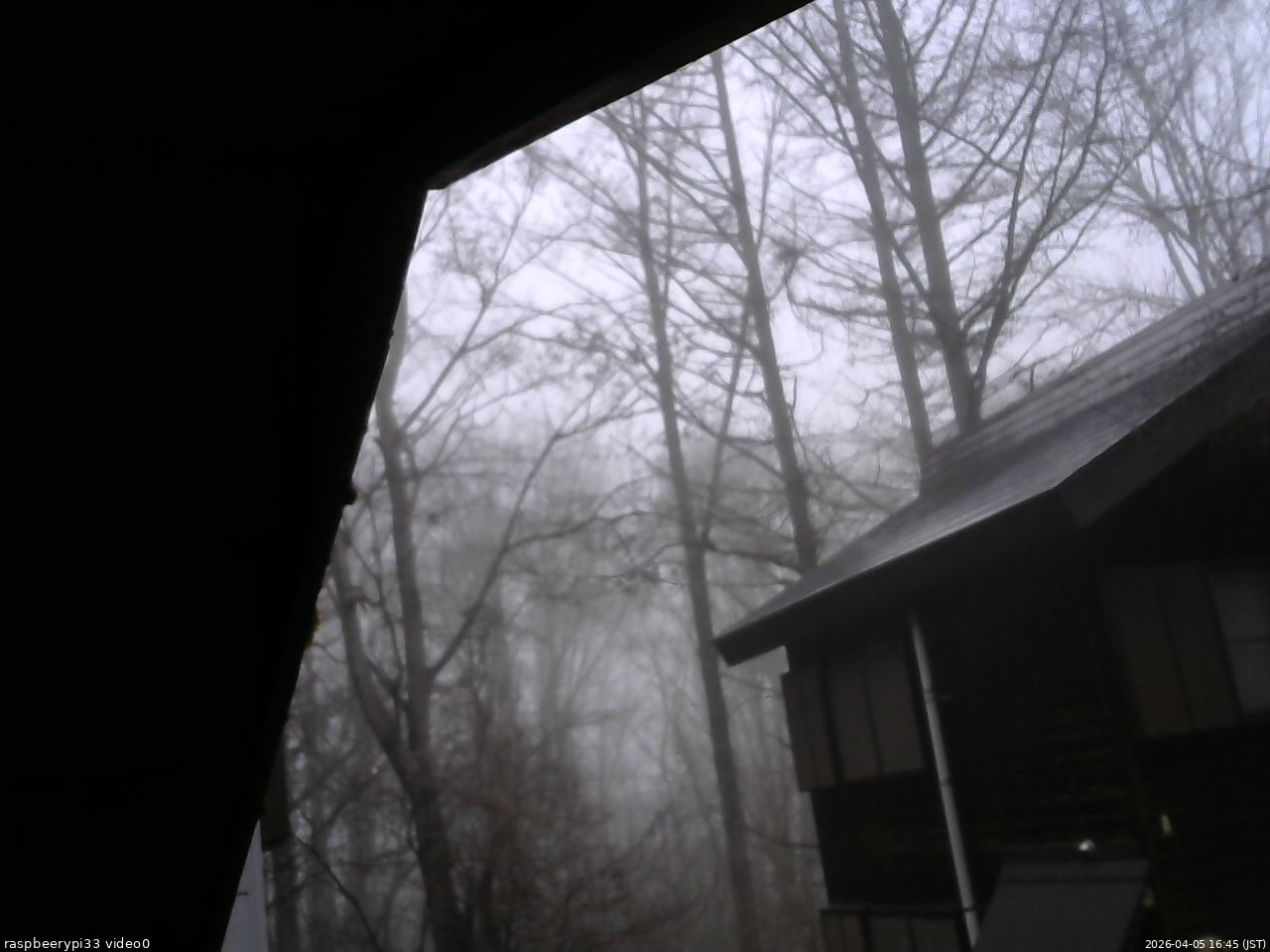 長野県菅平高原 ゆたか山荘 北側 2026/04/05 16:45