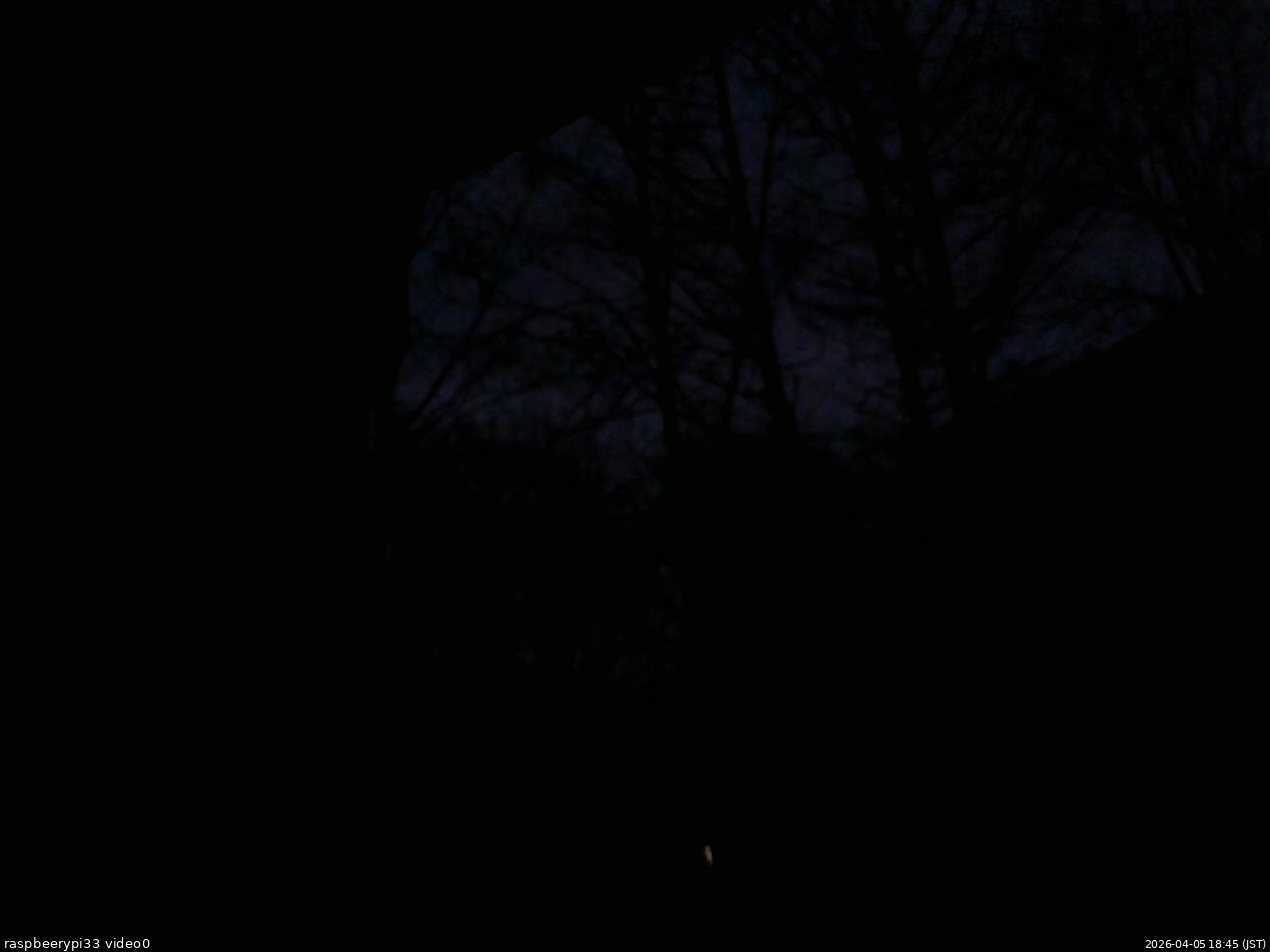 長野県菅平高原 ゆたか山荘 北側 2026/04/05 18:45