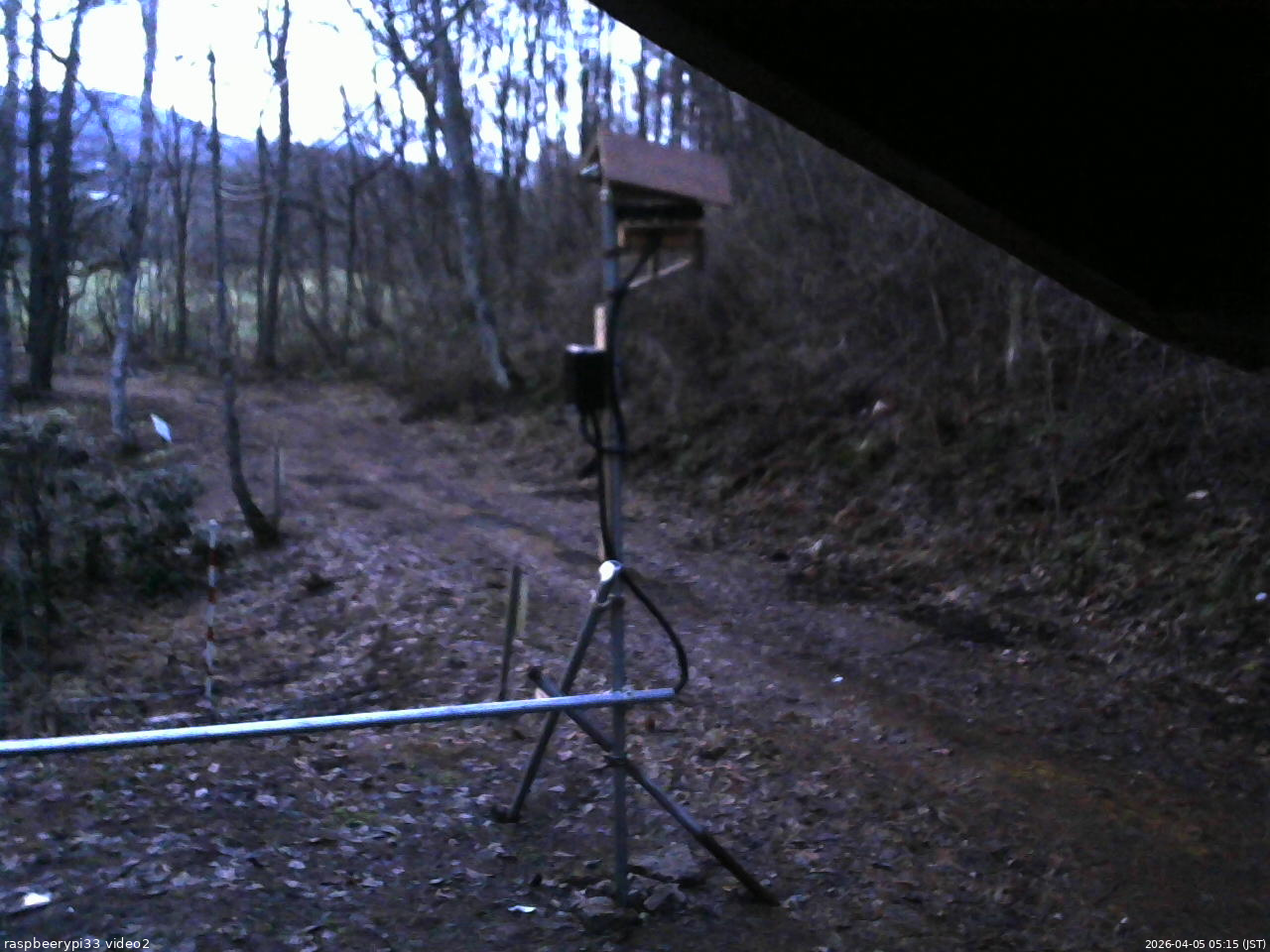 長野県菅平高原 ゆたか山荘 南側 2026/04/05 05:15