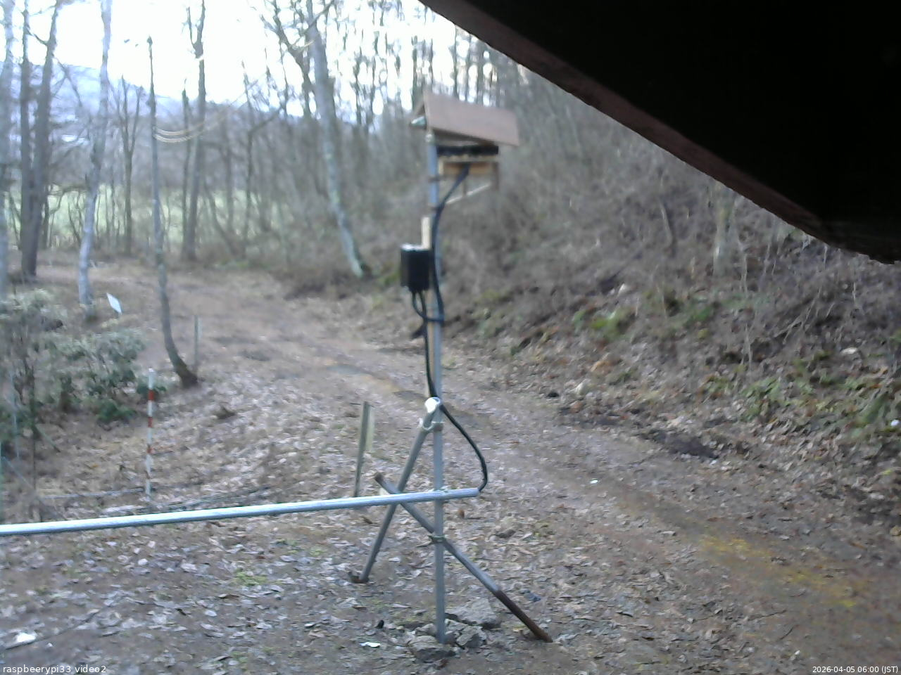 長野県菅平高原 ゆたか山荘 南側 2026/04/05 06:00