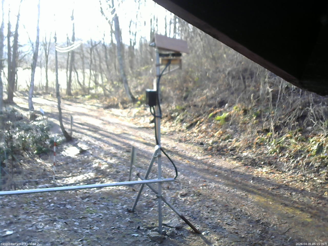 長野県菅平高原 ゆたか山荘 南側 2026/04/05 06:15