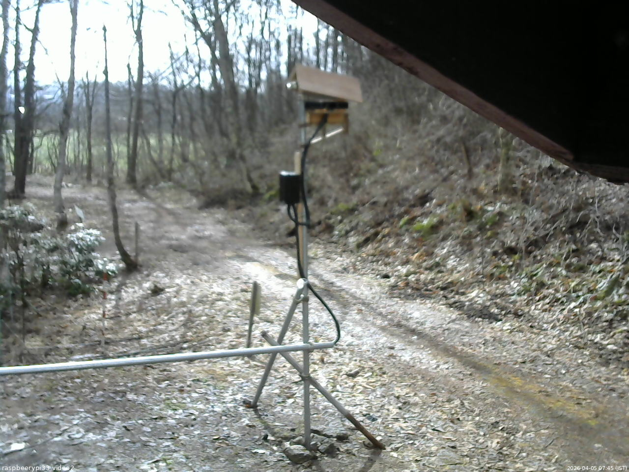 長野県菅平高原 ゆたか山荘 南側 2026/04/05 07:45