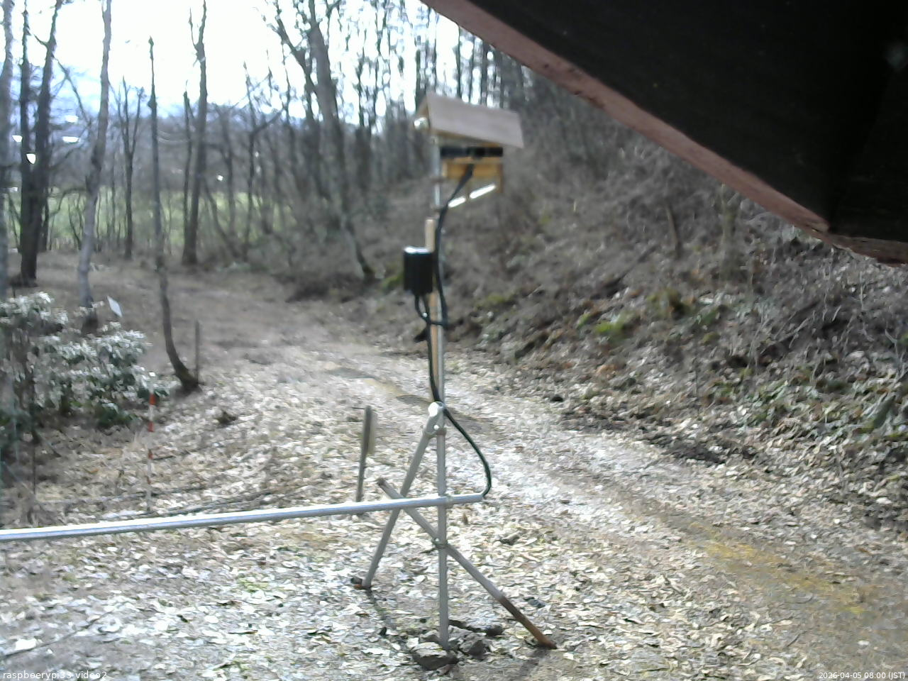 長野県菅平高原 ゆたか山荘 南側 2026/04/05 08:00