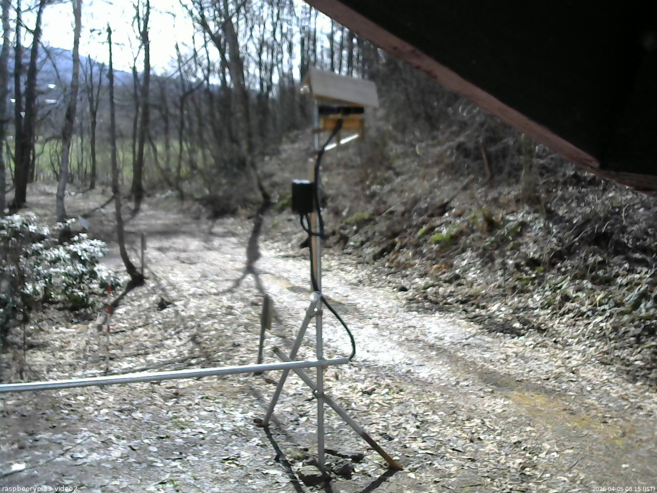 長野県菅平高原 ゆたか山荘 南側 2026/04/05 08:15