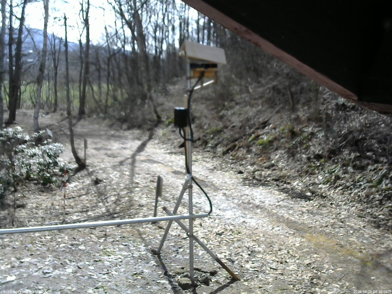 長野県菅平高原 ゆたか山荘 南側 2026/04/05 08:30