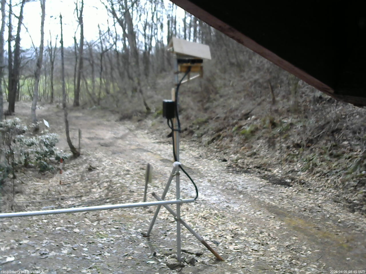 長野県菅平高原 ゆたか山荘 南側 2026/04/05 08:45