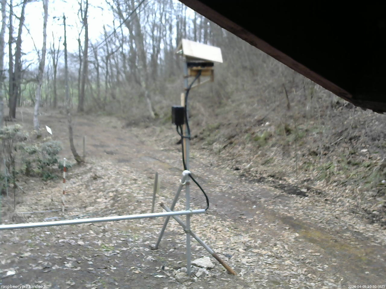 長野県菅平高原 ゆたか山荘 南側 2026/04/05 10:30