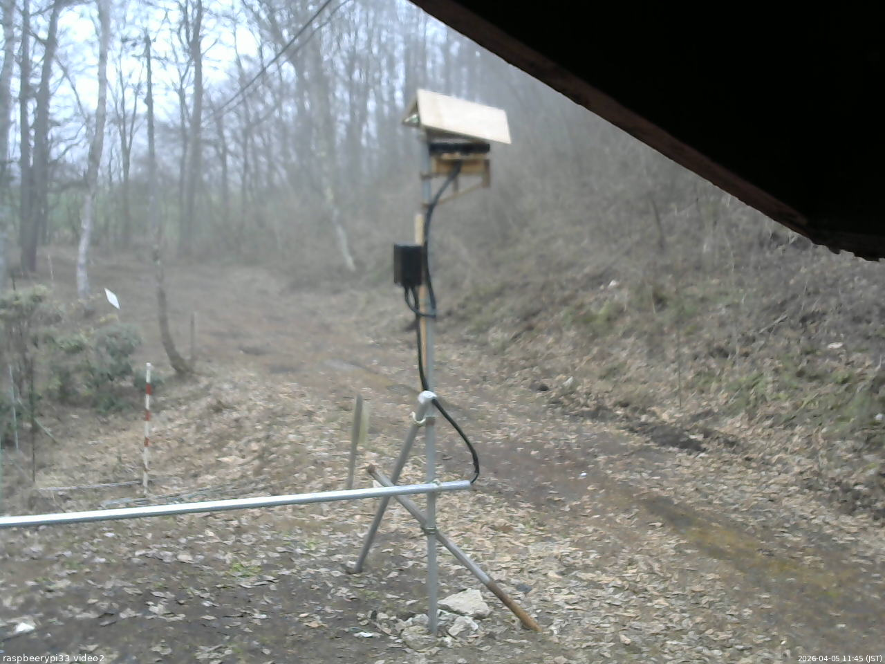 長野県菅平高原 ゆたか山荘 南側 2026/04/05 11:45