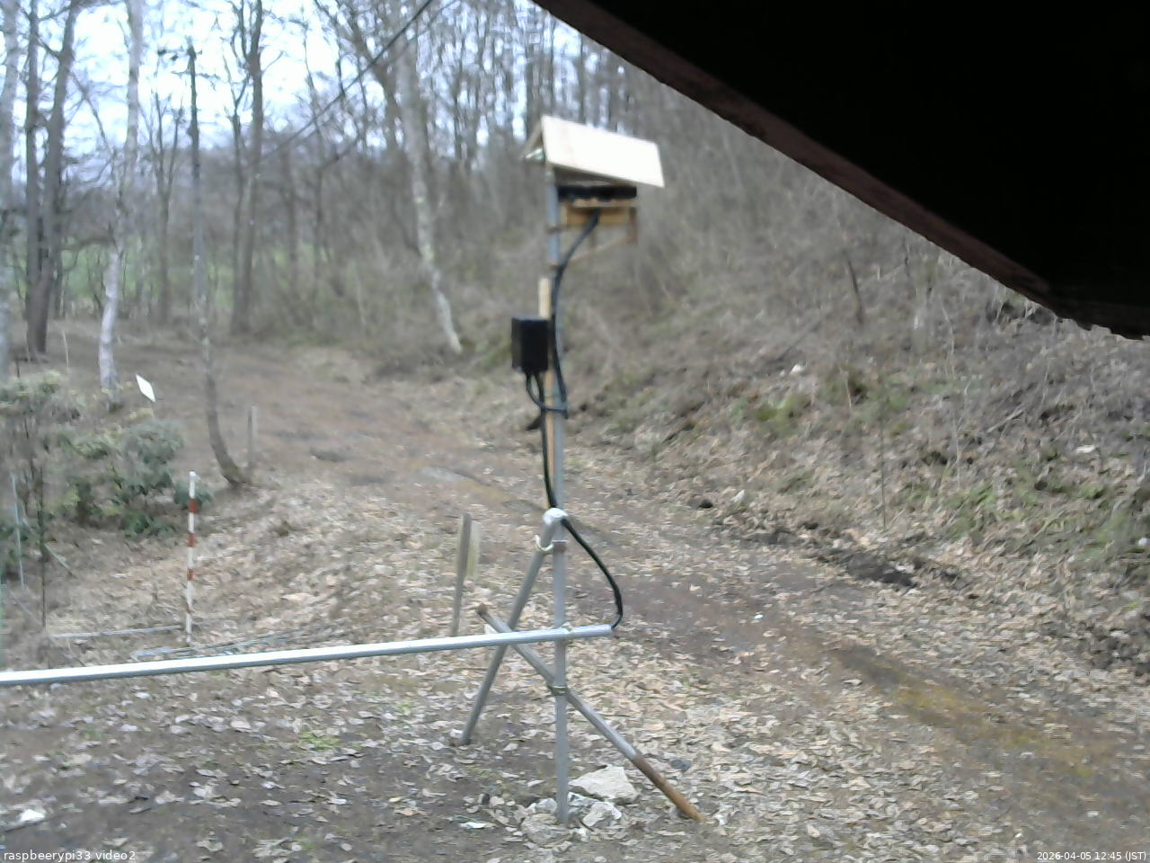 長野県菅平高原 ゆたか山荘 南側 2026/04/05 12:45