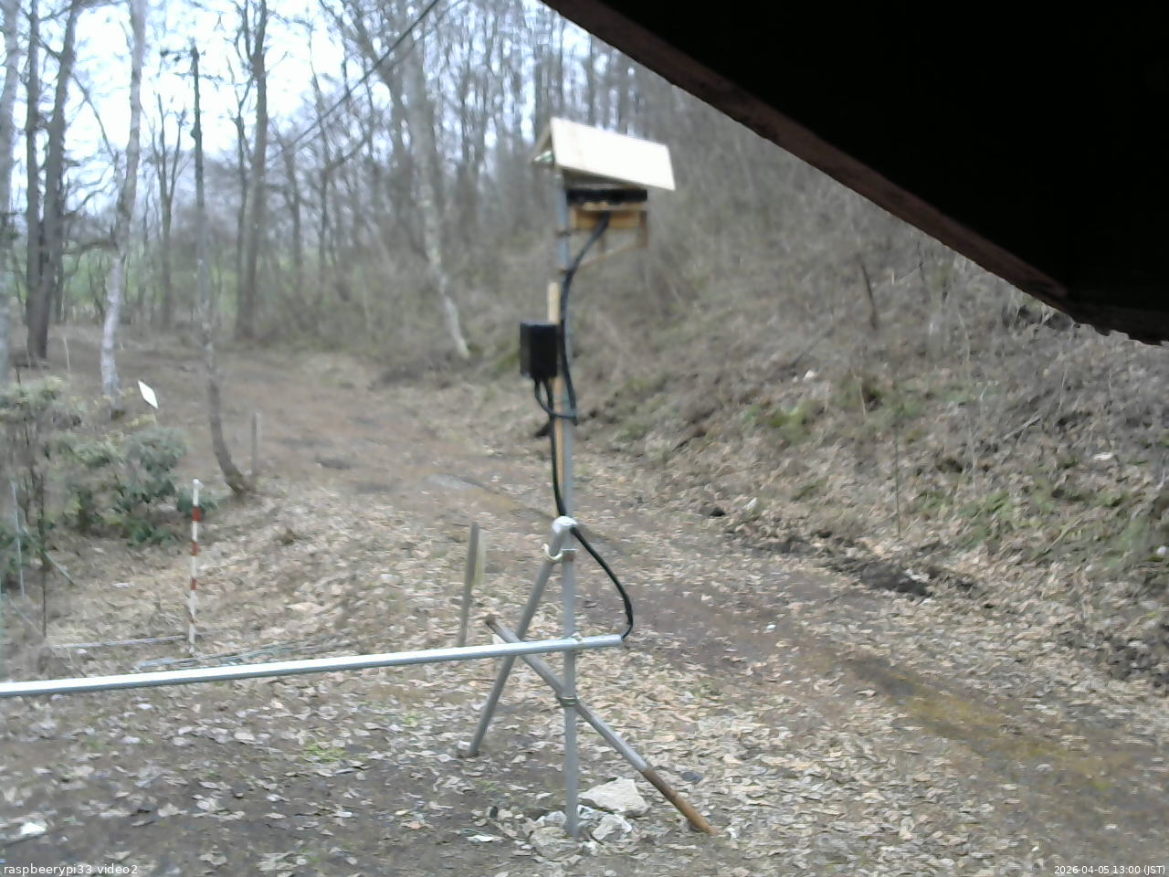 長野県菅平高原 ゆたか山荘 南側 2026/04/05 13:00