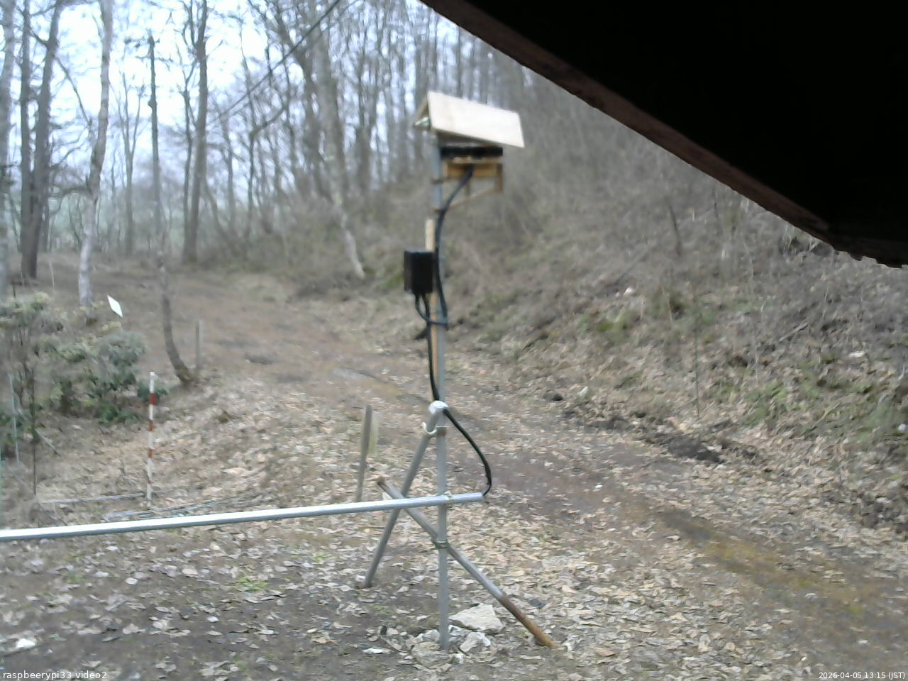 長野県菅平高原 ゆたか山荘 南側 2026/04/05 13:15
