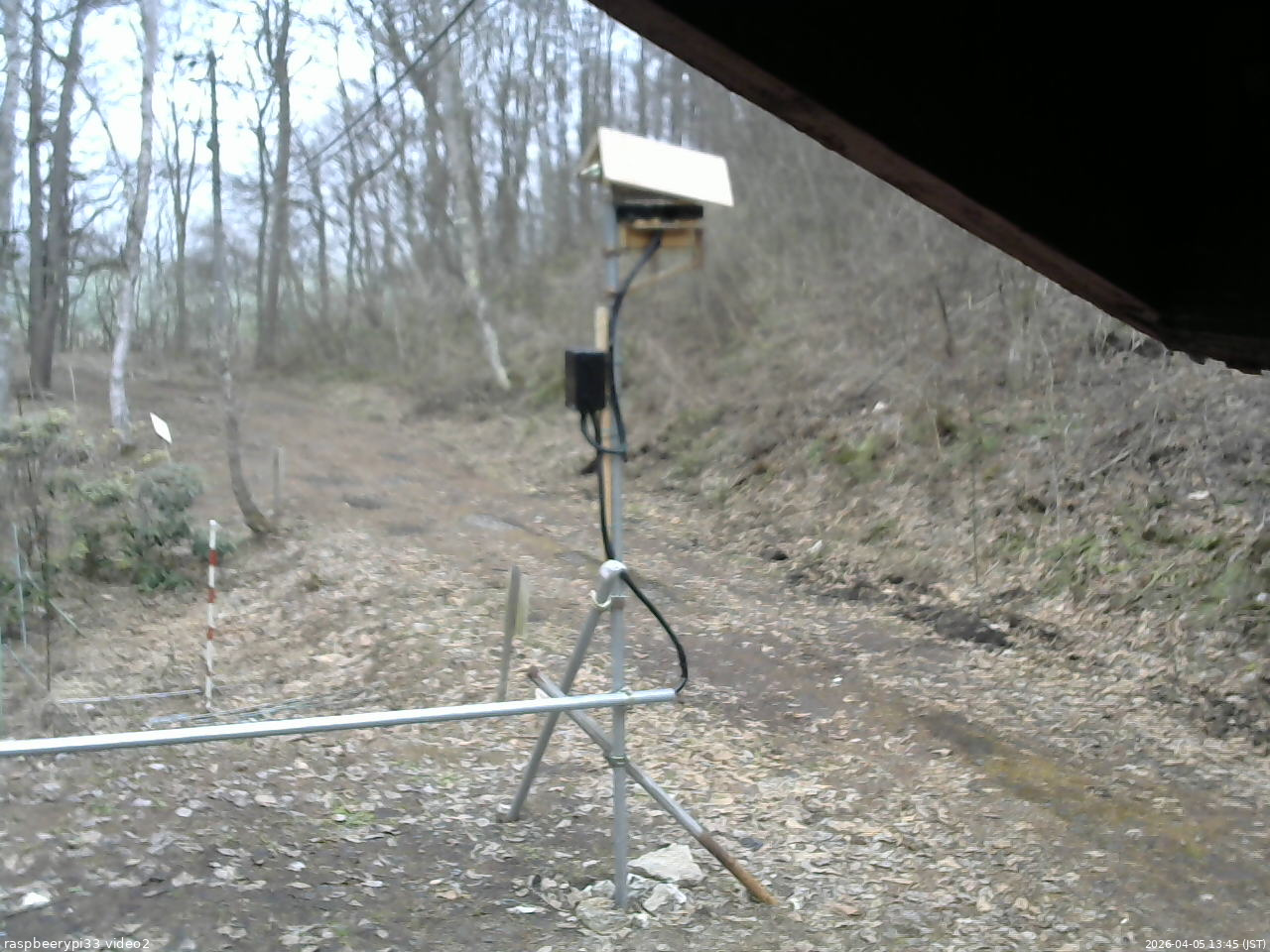 長野県菅平高原 ゆたか山荘 南側 2026/04/05 13:45