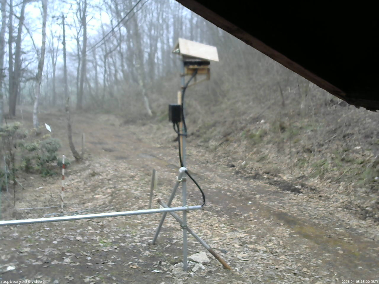 長野県菅平高原 ゆたか山荘 南側 2026/04/05 15:00