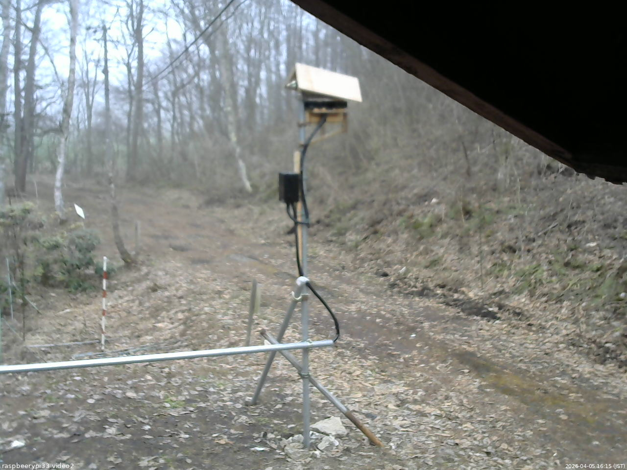 長野県菅平高原 ゆたか山荘 南側 2026/04/05 16:15