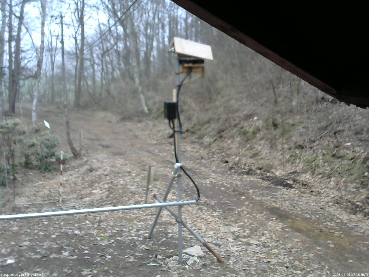 長野県菅平高原 ゆたか山荘 南側 2026/04/05 17:15