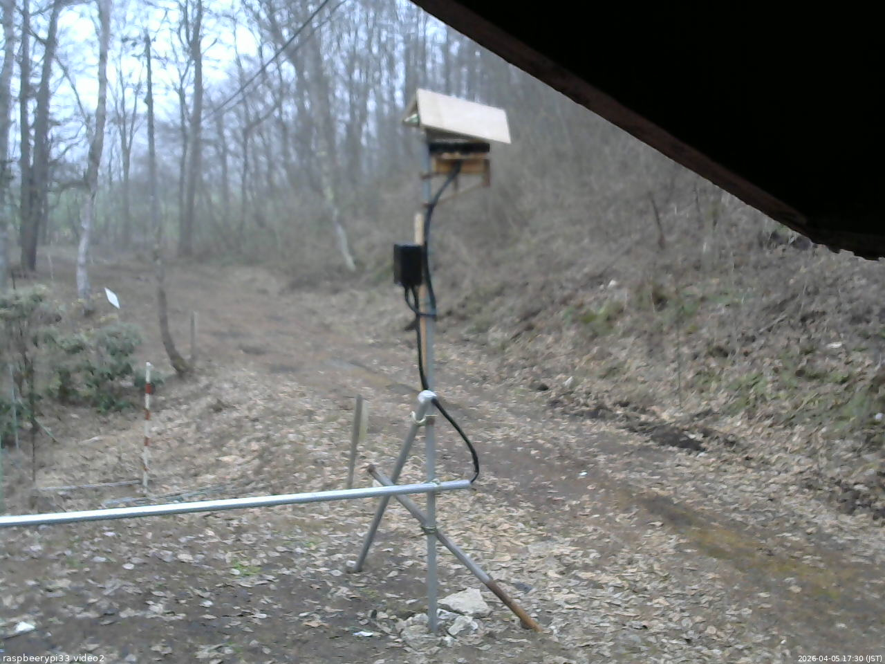 長野県菅平高原 ゆたか山荘 南側 2026/04/05 17:30