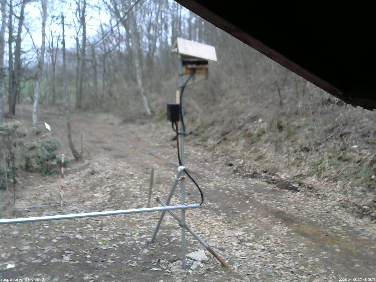 長野県菅平高原 ゆたか山荘 南側 2026/04/05 17:45