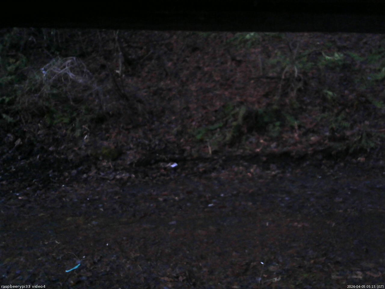 長野県菅平高原 ゆたか山荘 東側(坂下) 2026/04/05 05:15