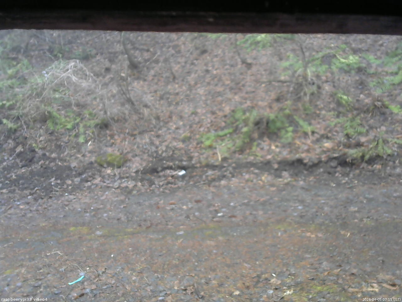 長野県菅平高原 ゆたか山荘 東側(坂下) 2026/04/05 07:15