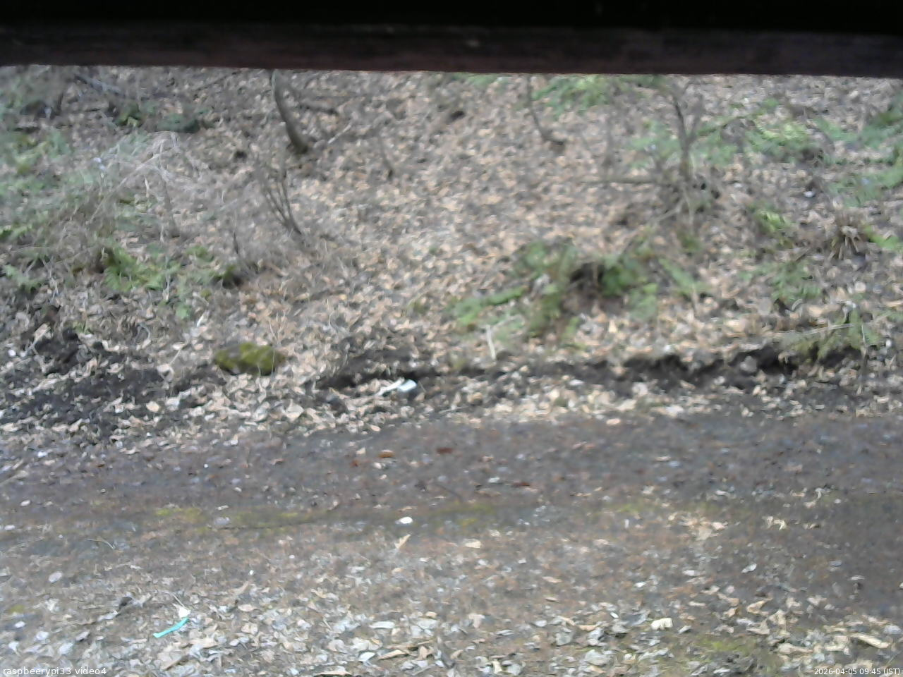 長野県菅平高原 ゆたか山荘 東側(坂下) 2026/04/05 09:45