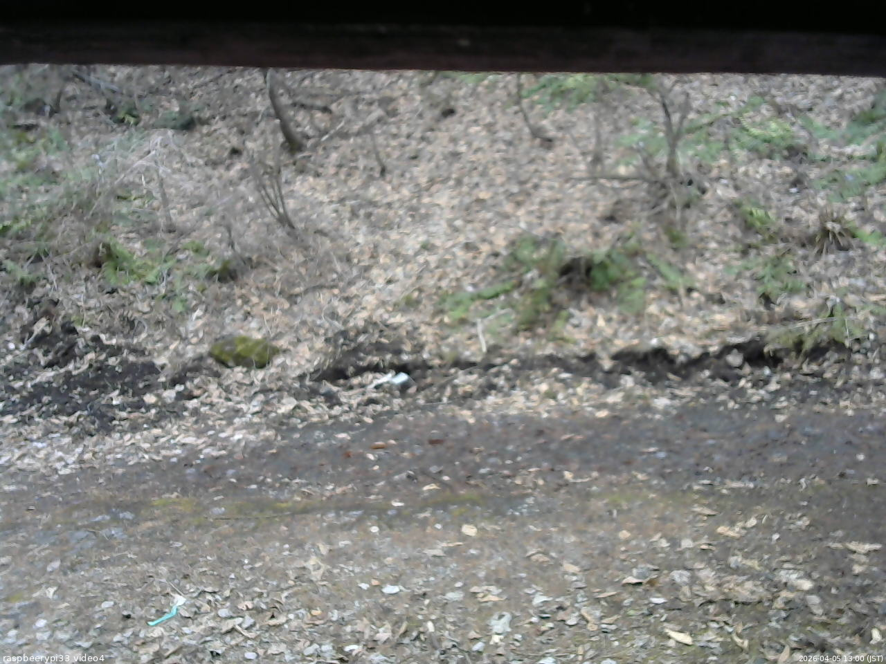 長野県菅平高原 ゆたか山荘 東側(坂下) 2026/04/05 13:00