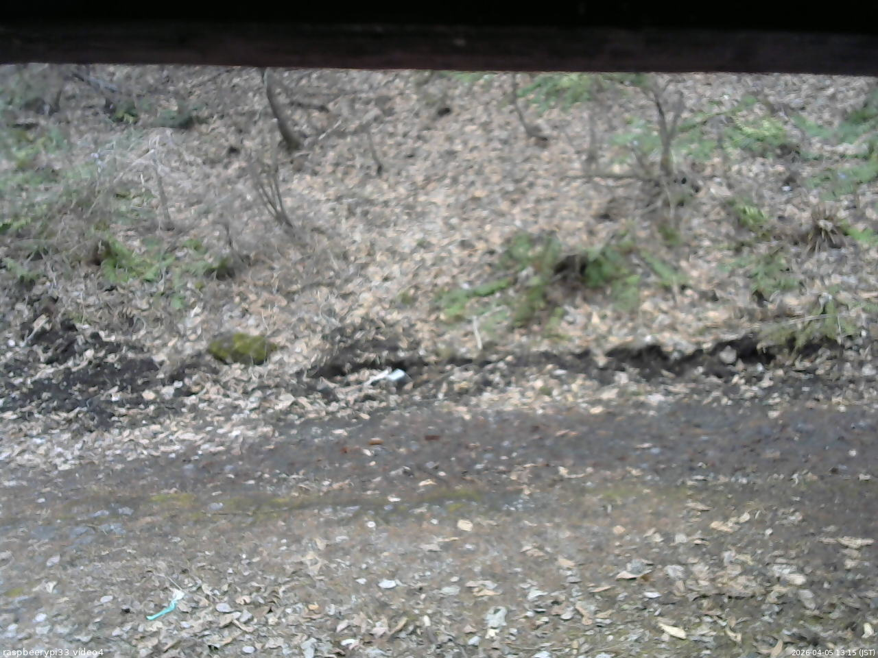 長野県菅平高原 ゆたか山荘 東側(坂下) 2026/04/05 13:15